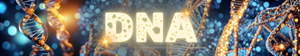 DNA Series – Leadership | Ps Rob Buckingham